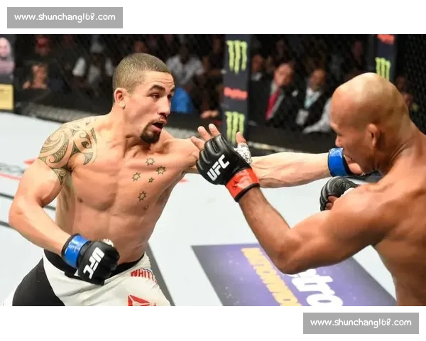 比斯平vs巅峰对决回顾一代冠军的荣耀与争议之战综合格斗史上