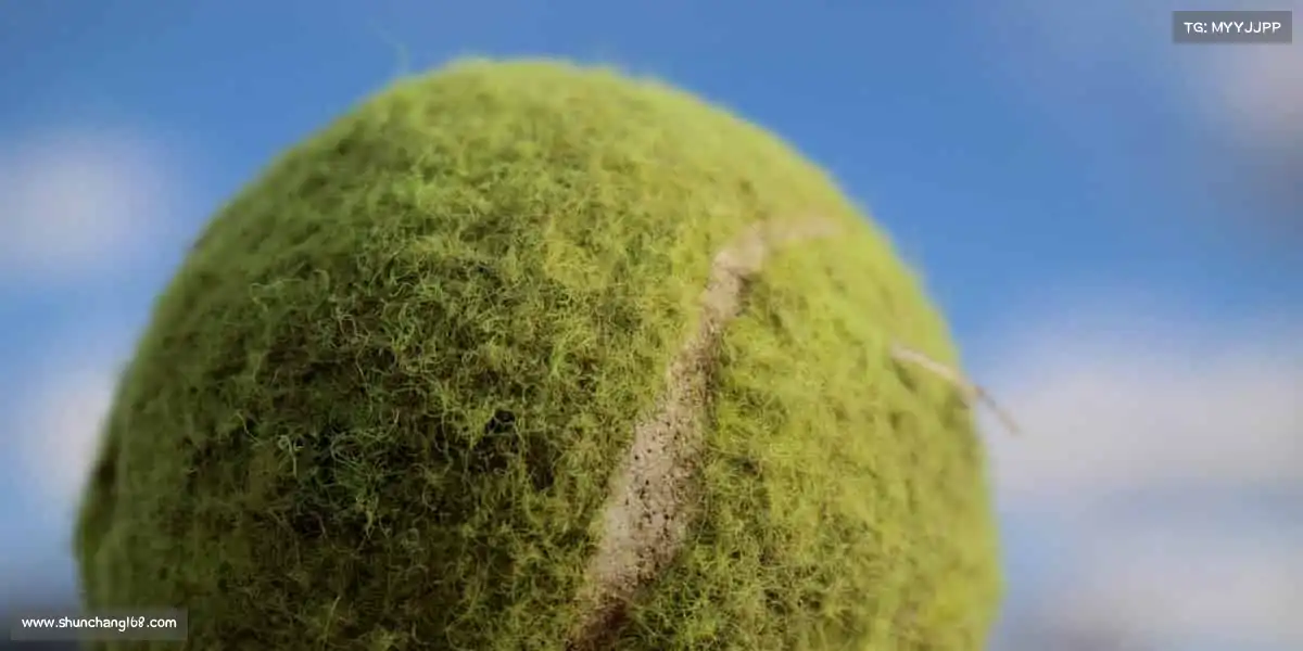 行业领先的理由